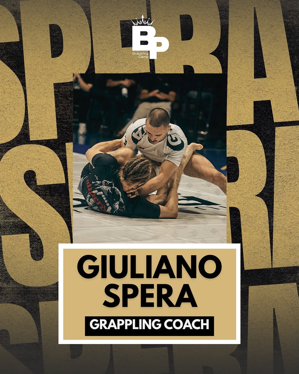 Giuliano Spera, coach de grappling
